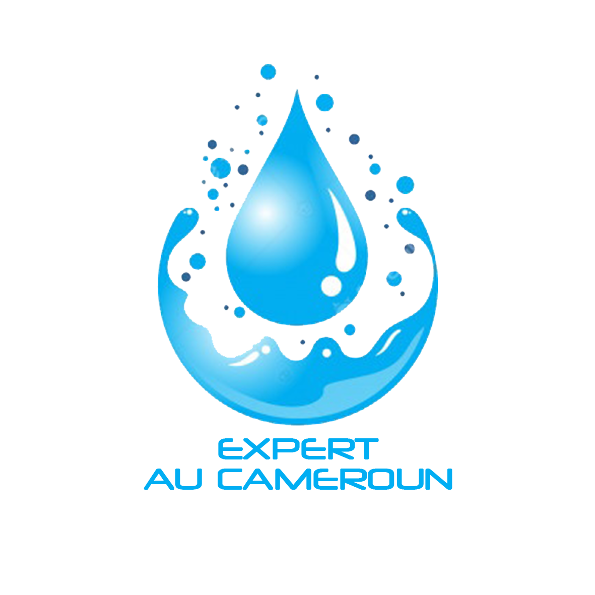 Les Experts en Eaux au Cameroun